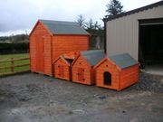Hand Made Dog Houses