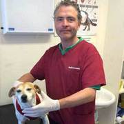 Find Vet Clinic in Dublin - Sandycove Veterinary Clinic