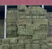 #Alfalfa Hay grass for sale #Animal feed for sale 
